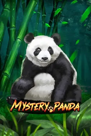 mistery panda